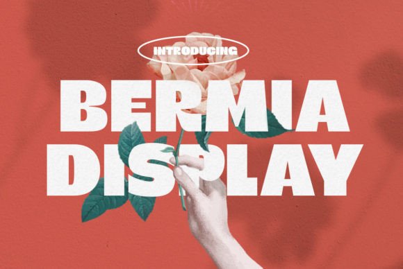Bermia: A Display Font That Earns Its Space
