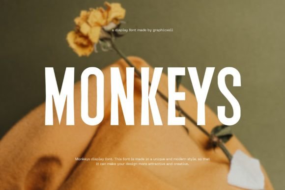 Monkeys: A Clean Display Font for Elegant Branding